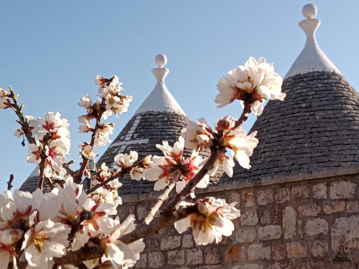 Il Mandorlo Villa Ostuni Dış mekan fotoğraf